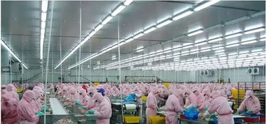 曹德旺捐贈5050萬元重建永泰天臺寺與圣農建成先進食品生產線 財經與農業科技的雙重突破