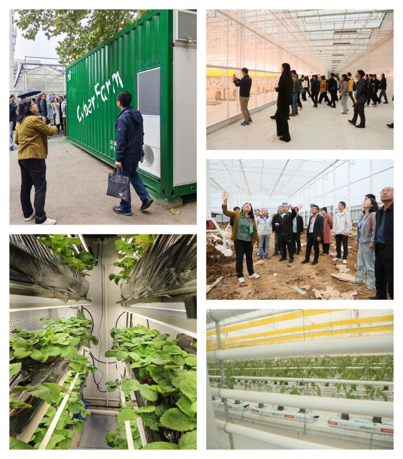 三天盛會繪就產業新藍圖 技術協同開啟農業新未來 —— 2025年智慧植物工廠技術研討會綜述