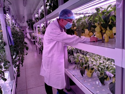 技術交流促發展，魚菜高與百源康共探農業科技新路徑——福建中科三安植物工廠學習行記