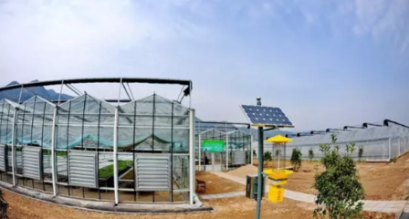 成都探索“互聯網+農業”新路徑 打造智慧農業科技服務新生態