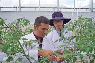 拼多多“百億農研”計劃 踐行農業科技普惠，引領產業新變革