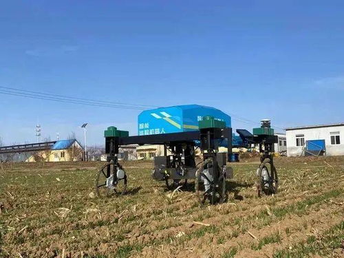 農業產業周報 科技賦能，龍頭領航——聚焦中糧、極飛、克明、牧原與行業研發新動態